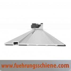 FS800 Führungsschiene 80 cm